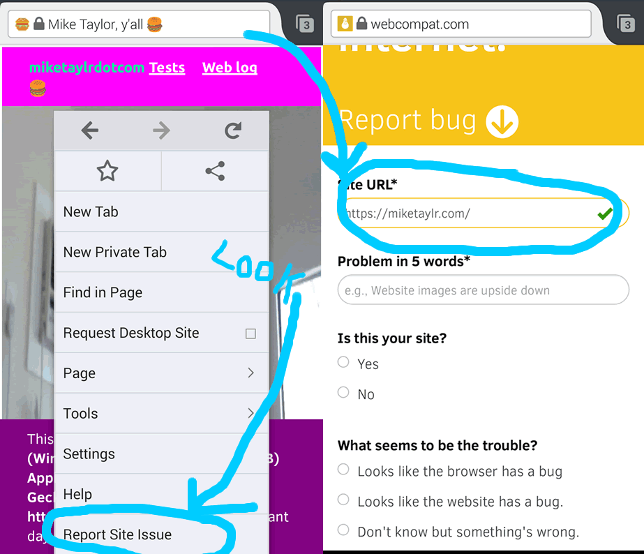 screenshots of report site issue menu item